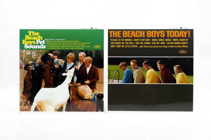 Two Analogue Productions 200g vinyl Beach Boys records