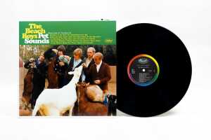 Two Analogue Productions 200g vinyl Beach Boys records - 2