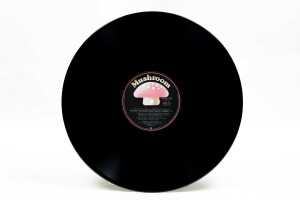 'The Great Australian Rock Festival Sunbury 1973' vinyl record - 2