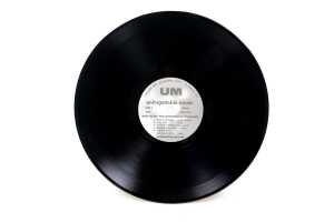Ron Rude 'The Borders of Disgrace' vinyl record - 2