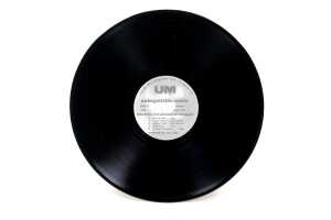 Ron Rude 'The Borders of Disgrace' vinyl record - 3