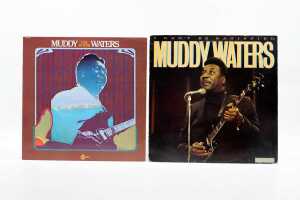 Six John Lee Hooker and Muddy Waters Blues vinyl records - 3