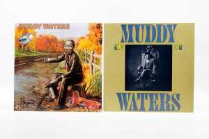 Five Muddy Waters Blues vinyl records - 3