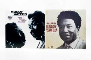 Five Muddy Waters Blues vinyl records - 4