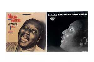 Five Muddy Waters Blues vinyl records - 3