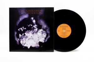 Three Van Morrison '90s pressed vinyl records - 4