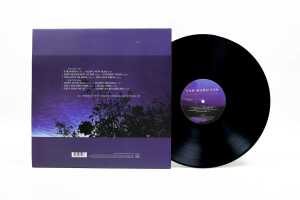 Van Morrison 'Magic Time' heavyweight vinyl record - 3
