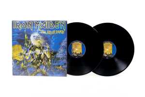 Two Heavy Metal vinyl records - 2