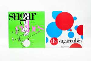 Eight Indie Pop vinyl records - 2