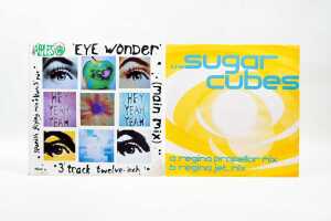 Eight Indie Pop vinyl records - 3