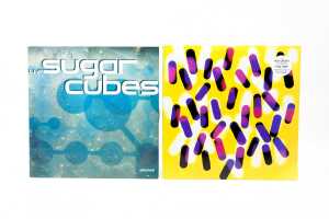 Eight Indie Pop vinyl records - 4