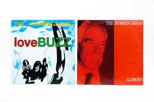Eight Indie Pop vinyl records - 5