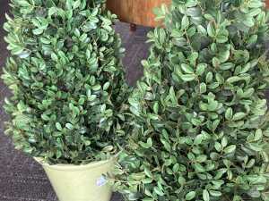 Pair of decorative faux Boxwood topiary trees - 2
