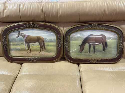 Pair of Heirloom thoroughbred horse hand tinted photographs