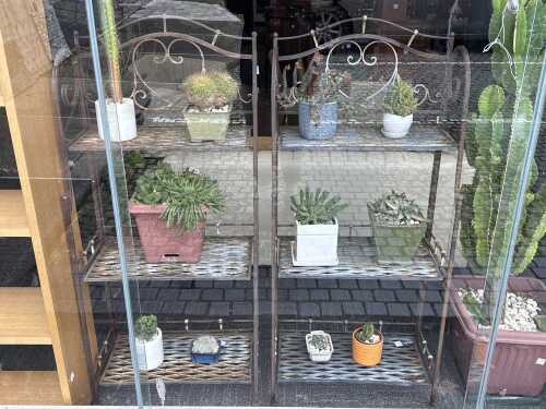 Pair of base outdoor stands with assorted succulents