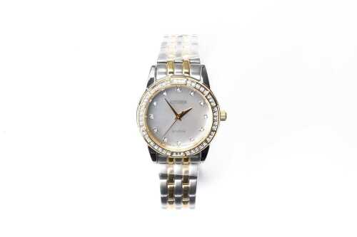 A ladies Citizen Eco drive watch.