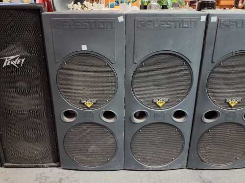 A pair of Celestion speakers