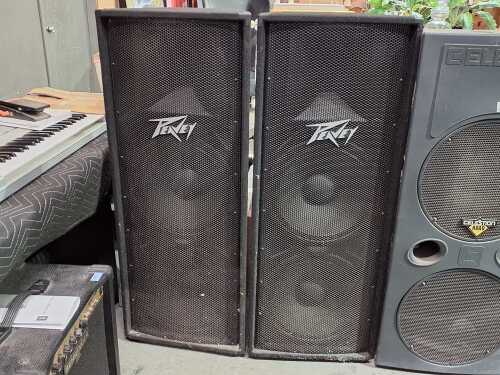 A pair of Peavey speakers
