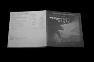 Australian Wedge-tailed Eagle 2014 $1 Silver Proof Coin, 1 oz - 4