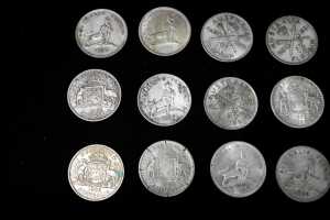 15 x Pre Decimal Australian Florins - 2