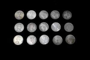 15 x Pre Decimal Australian Florins - 4