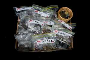 Very large group of assorted coins