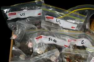 Very large group of assorted coins - 3