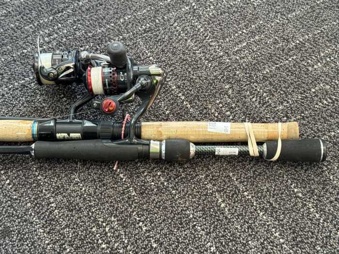 Two fishing rods