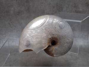 Carved nautilus shell