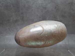 Carved nautilus shell - 2