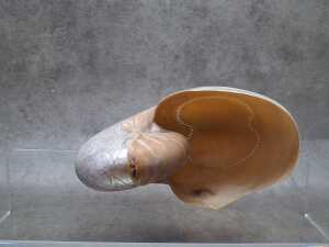 Carved nautilus shell - 4