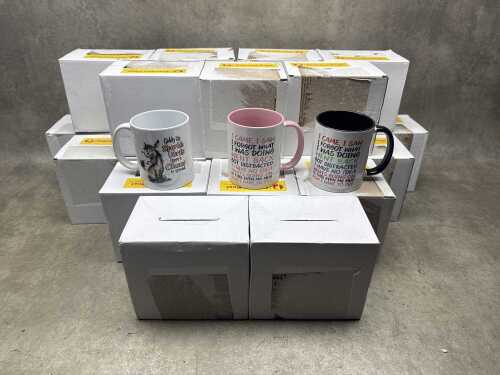 24 white ceramic assorted novelty mugs