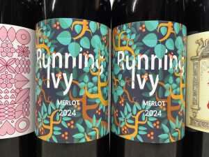 Mixed Merlot, six bottles - 3