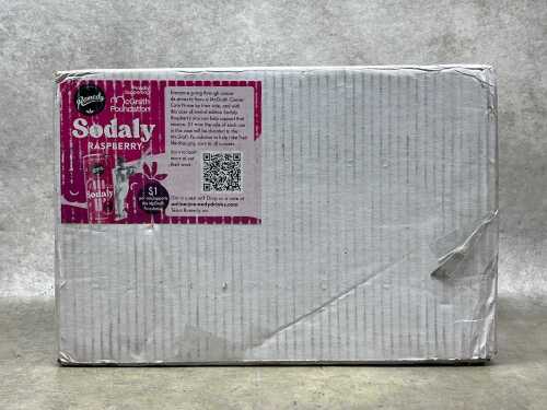 Remedy Sodaly Raspberry, soft drink, 12 cans
