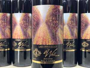 Lake Cooper Estate 'The Well', Shiraz, 2019, six bottles - 2