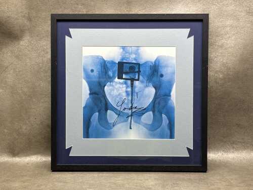 Lorde 'Virgin' signed and framed art card