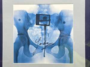 Lorde 'Virgin' signed and framed art card - 2