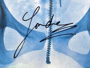 Lorde 'Virgin' signed and framed art card - 3