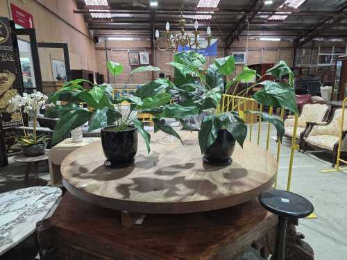 Two artificial peace lily plants in black ceramic pots