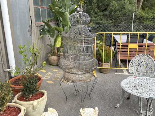 Iron bird cage