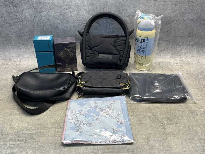 Group of Women's accessories