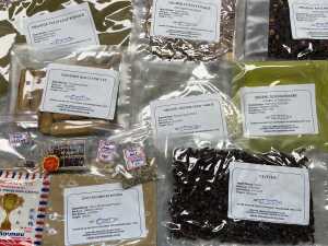 Group of herbs & spices - 4