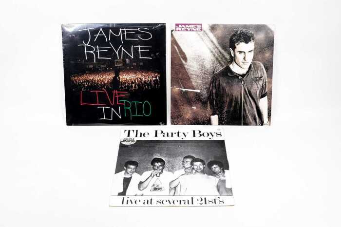 Three James Reyne vinyl records