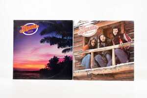 Eight Soft Rock and Singer Songwriter vinyl records - 5