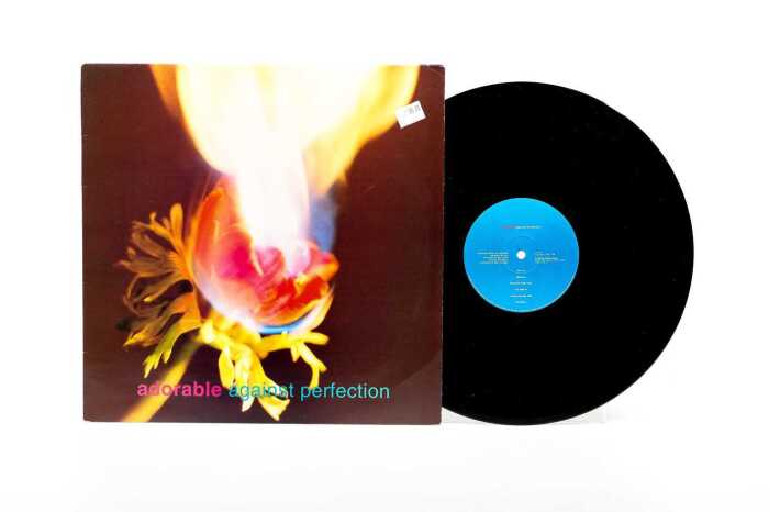 Adorable 'Against Perfection' Shoegaze vinyl record