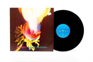 Adorable 'Against Perfection' Shoegaze vinyl record