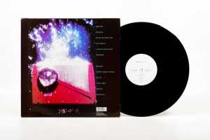 Adorable 'Against Perfection' Shoegaze vinyl record - 2