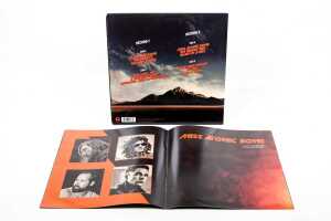 Two Alternative Rock vinyl records - 3