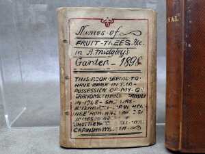 Four antique bound items - 3