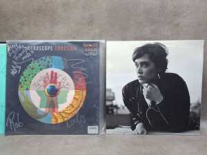 10 Rock and Pop vinyl records - 4